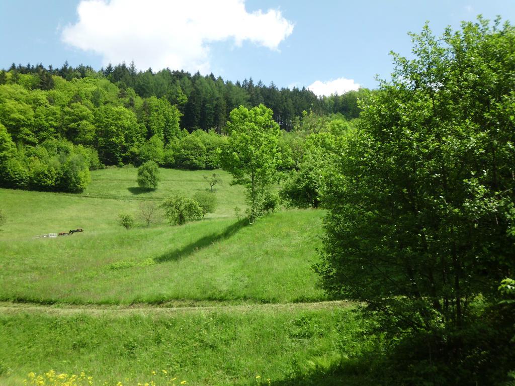Finken, Gaestezimmer An Der Rench 오페나우 외부 사진